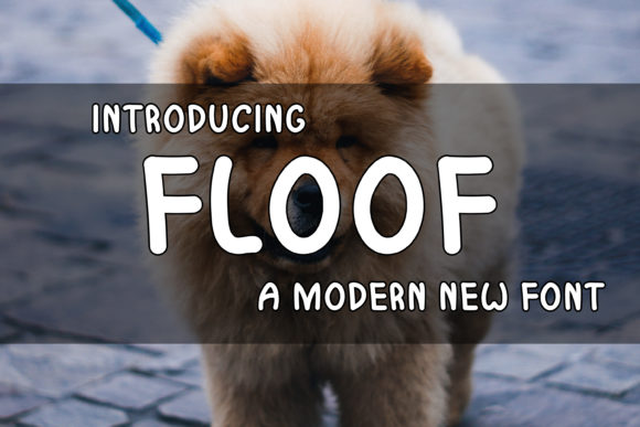 Floof: A Playful Display Font for Editorial Brilliance