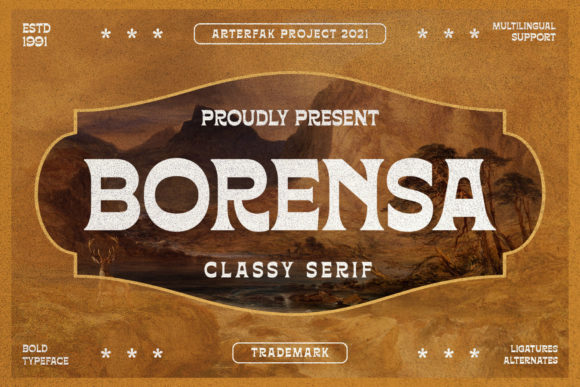 How Borensa Bold Font Transformed My Brand’s Visuals
