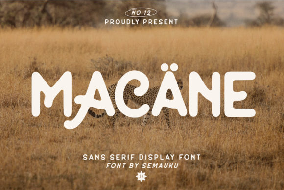 Macane: A Vintage Display Font That Makes Handmade Products Shine